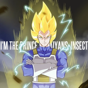 vegeta prince of saiyans